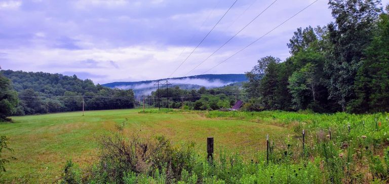 Johnsons Shut Ins State Park 1 768x363
