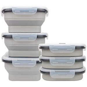 Cartints Collapsible Food Storage Containers with Lids